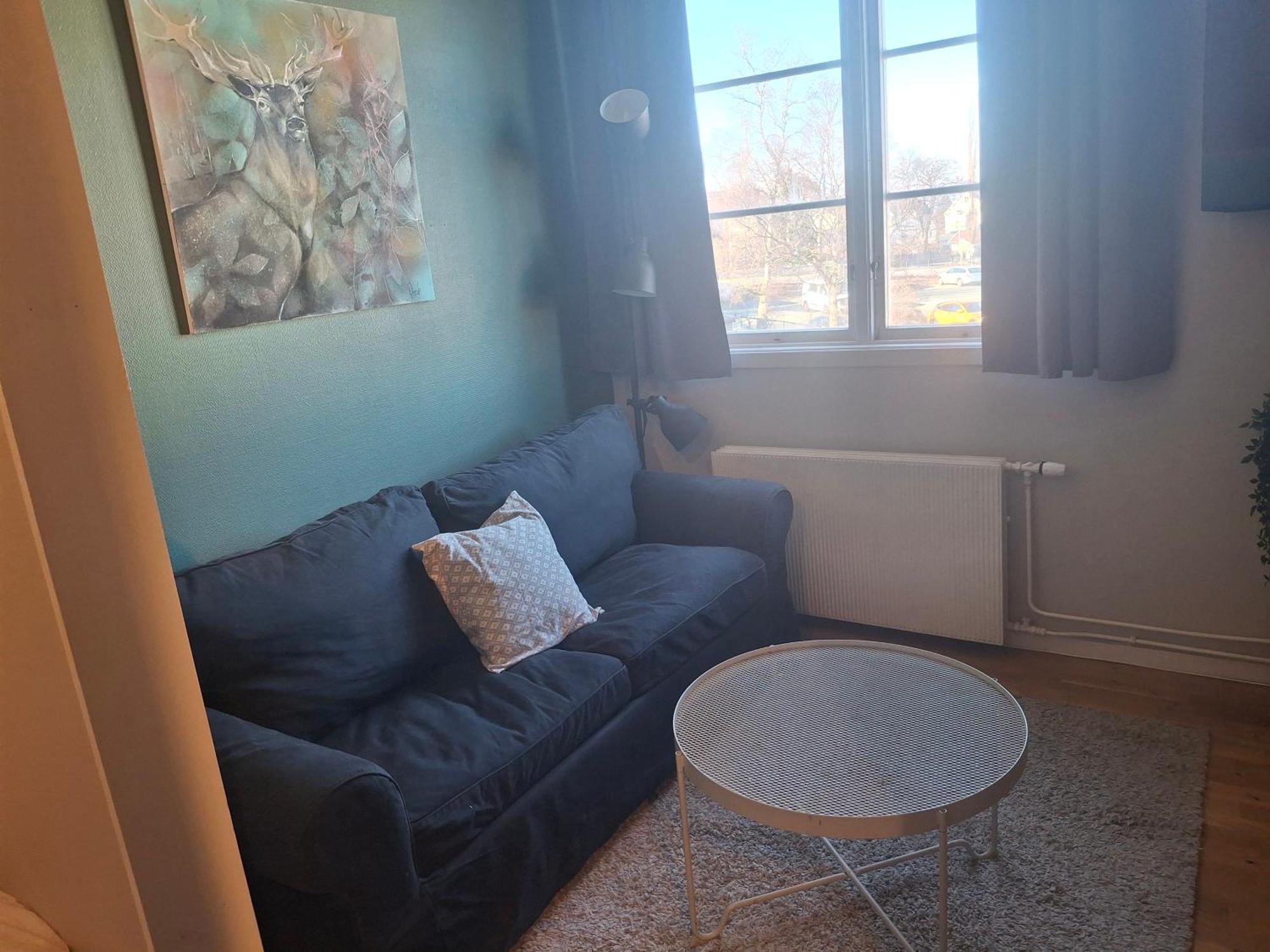 Studioleilighet I Med Egen Inngang